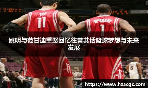 NG娱乐平台