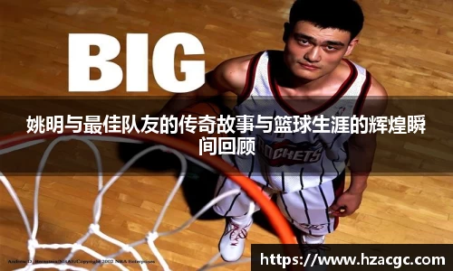 NG娱乐网址