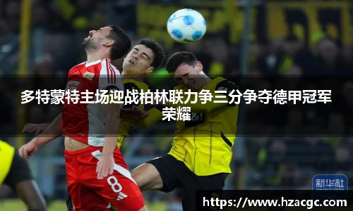 NG娱乐网址