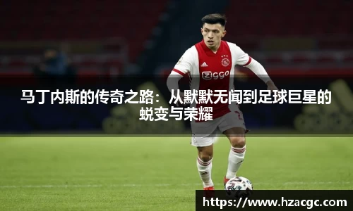 NG娱乐官网